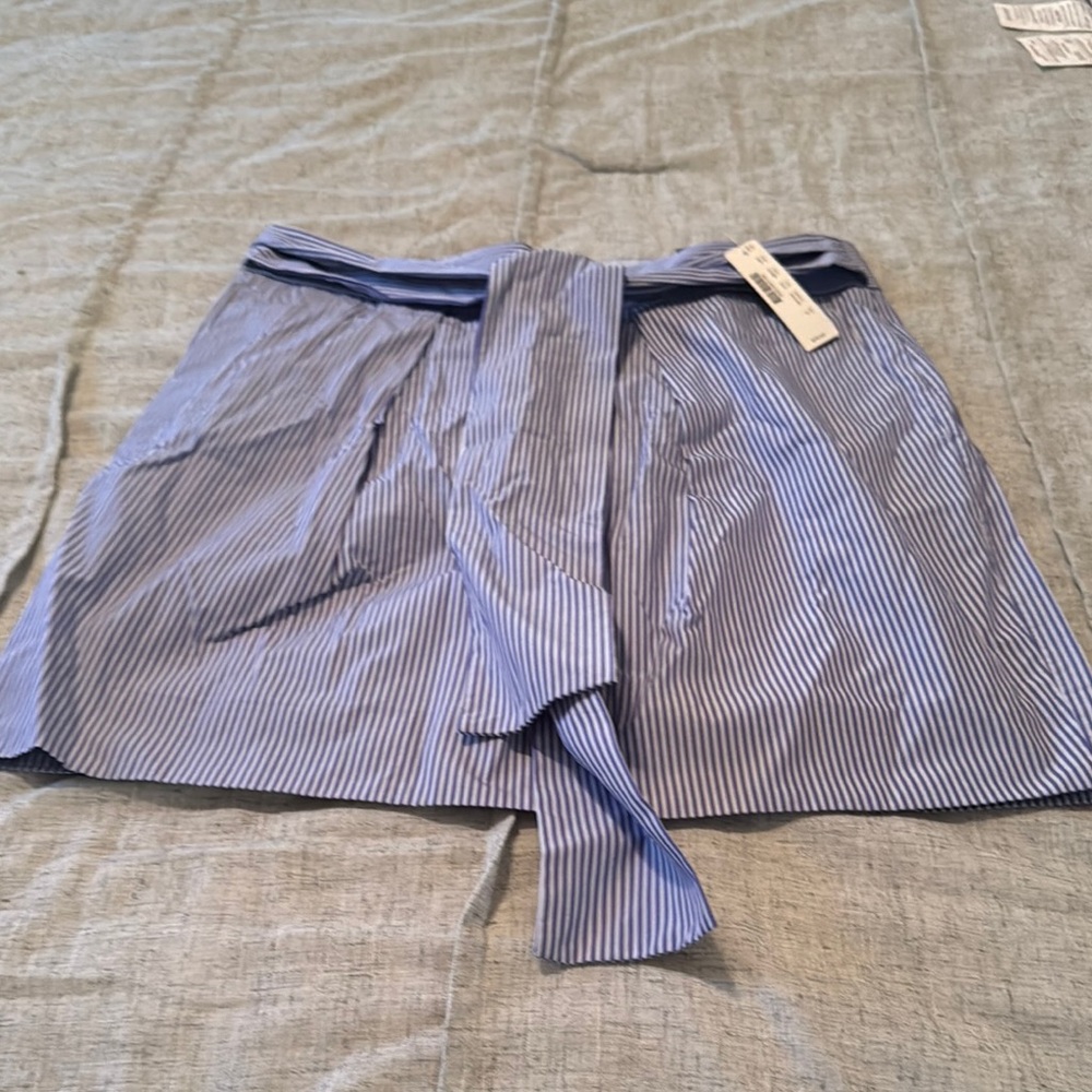 Blue Striped Mini Skirt with Belt